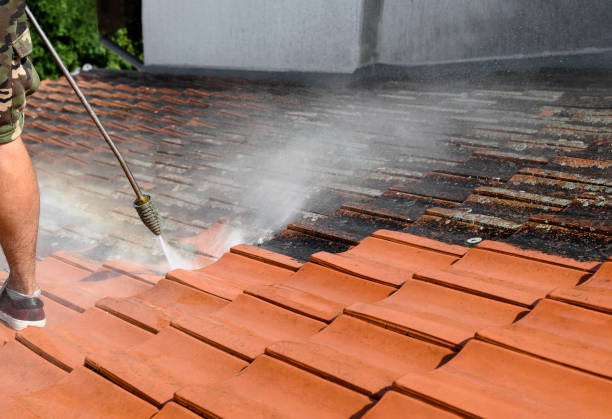 Best Pressure Washing Cost  in Siesta Shores, TX